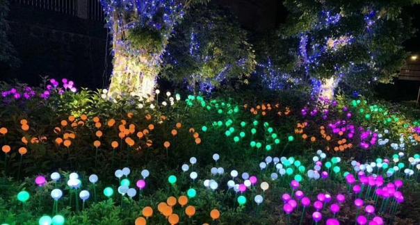 公园圆球芦苇灯亮化
